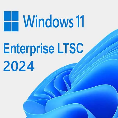 Microsoft Windows 11 Enterprise LTSC 2024 Upgrade | Lifetime 